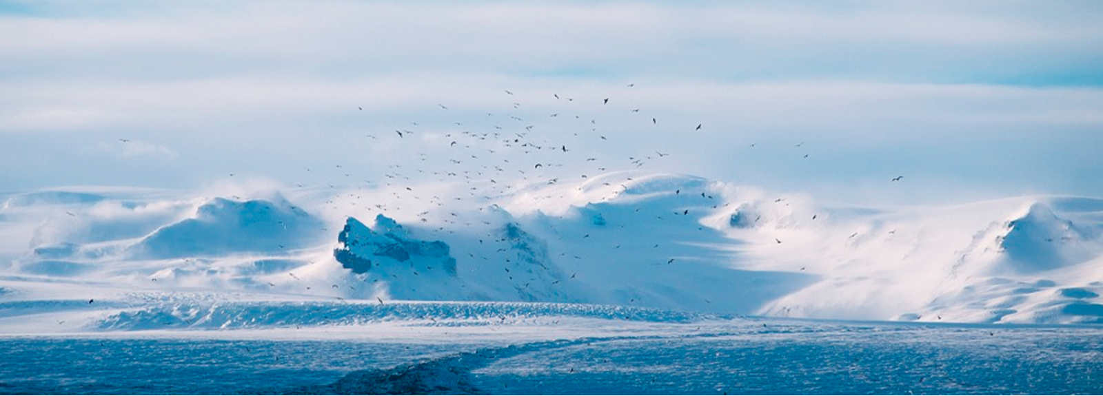 Wicking Learning Management System